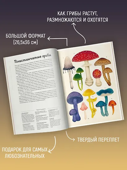 Грибариум - фото 4