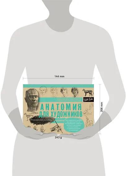 Анатомия для художников - фото 3