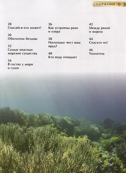 Подводный мир. Детская энциклопедия - фото 3