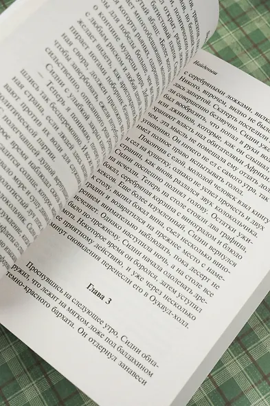 Найденыш - фото 8