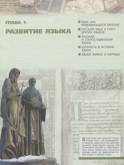 Чердаков. Русский язык. 7 класс. Учебник. - фото 4