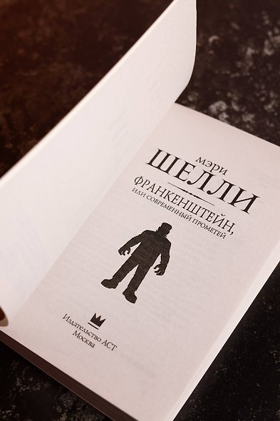 Франкенштейн, или современный Прометей - фото 8