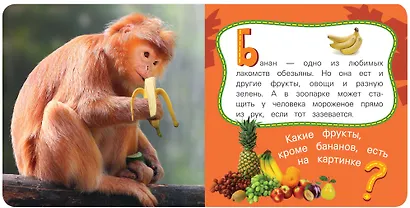 Обезьяна - фото 2