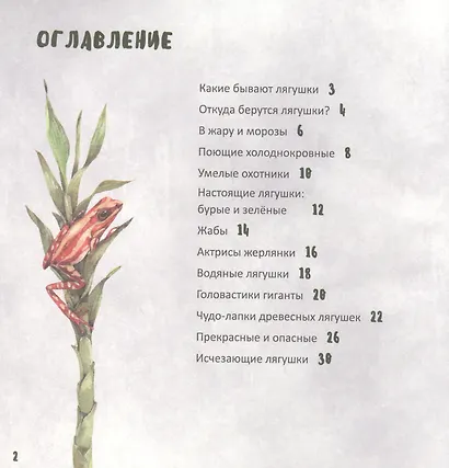 Такие разные лягушки (илл. Габеева Н.) Габеева - фото 2