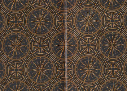 Темный компас - фото 5