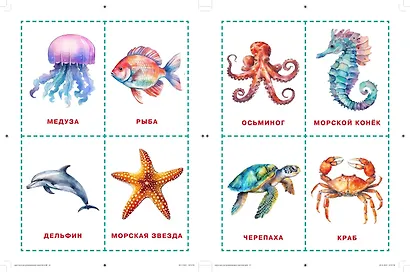 Карточки для нейротренировки по методике Гленна Домана: с 6 месяцев - фото 8