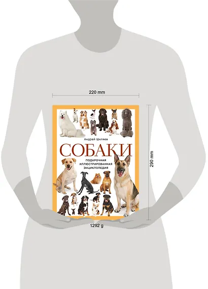 Собаки. Подарочная иллюстрированная энциклопедия (новое оформление) - фото 13