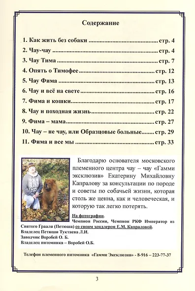 Чау Фима и другие - фото 2