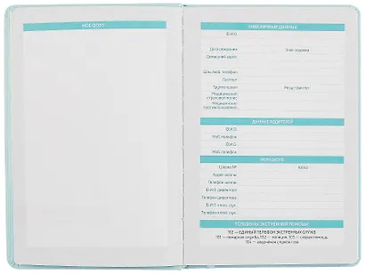 Дневник школьный Феникс+, "Плонже мятный" - фото 5