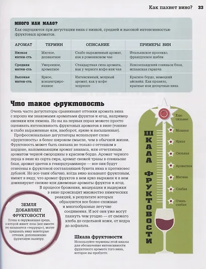 Вино. Стиль жизни. Навигация в море вина - фото 7