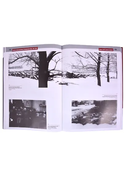 Россия в эпоху революций и Гражданской войны. 1917–1922 - фото 4