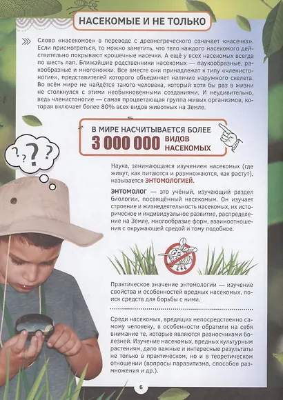 Знакомство с насекомыми и другими членистоногими - фото 5