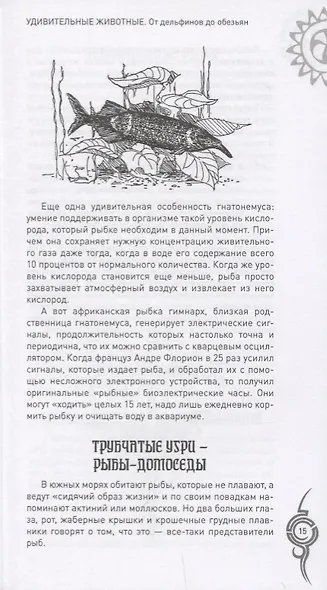 Удивительные животные. От дельфинов до обезьян - фото 10