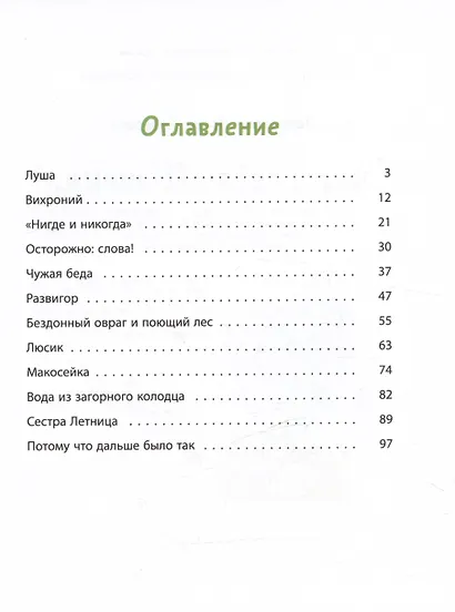 Счастливо, Ивушкин! - фото 3