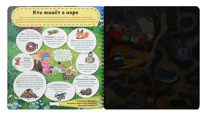 Что там, под Землёй? Увлекательное путешествие с фонариком - фото 3