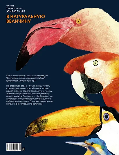 Самые удивительные животные в натуральную величину - фото 2