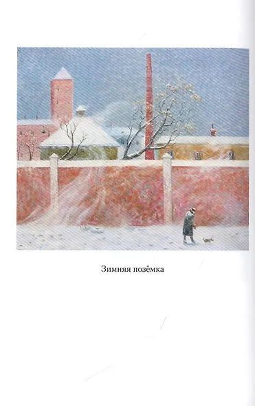 Прозрачная тень: Рассказы - фото 3