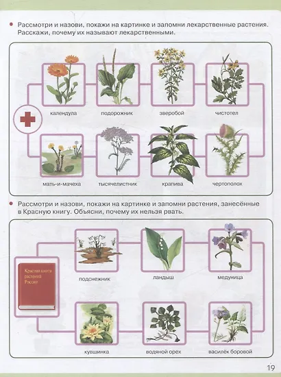 Я знаю: Мир растений. Мир животных. Мир человека. Окружающий мир в вопросах и заданиях - фото 3