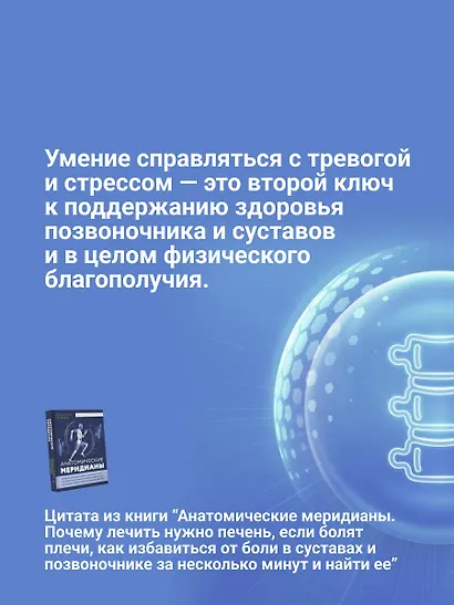 Анатомические меридианы. Почему лечить нужно печень, если болят плечи, как избавиться от боли в суставах и позвоночнике за несколько минут и найти ее истинную причину - фото 8