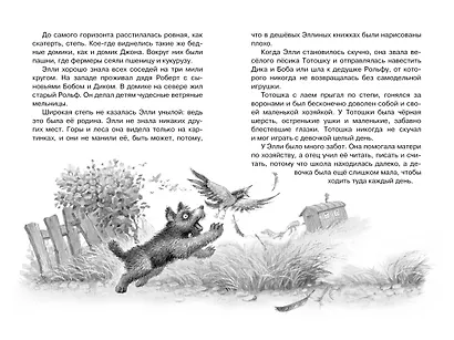 Волшебник Изумрудного города - фото 9