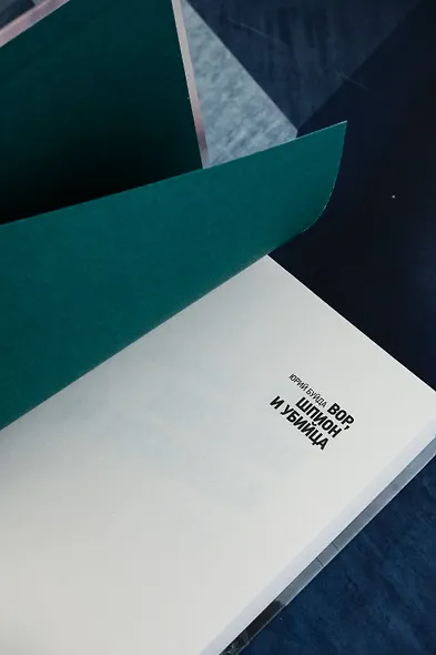 Вор, шпион и убийца - фото 7