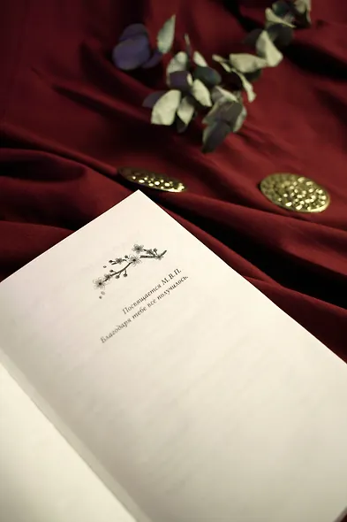 Благословения и проклятия Чуждого Края. Том 1 - фото 11