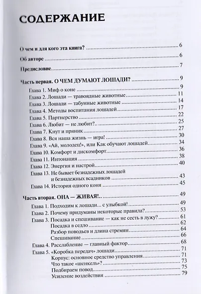 Конь, всадник, инструктор: как понять друг друга? - фото 2