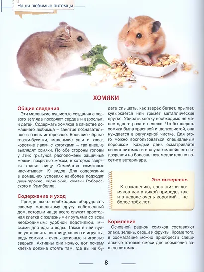 Энциклопедия для детей наши любимые питомцы - фото 4