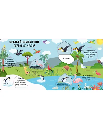 Книжка с окошками. Угадай животное - фото 2