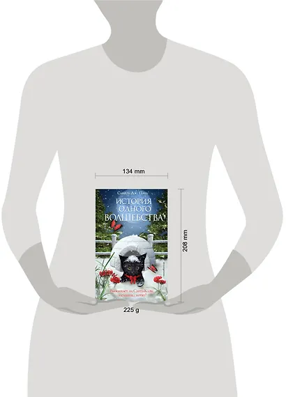 История одного волшебства - фото 10