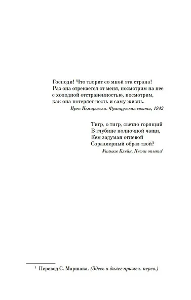 Ключ Сары - фото 9