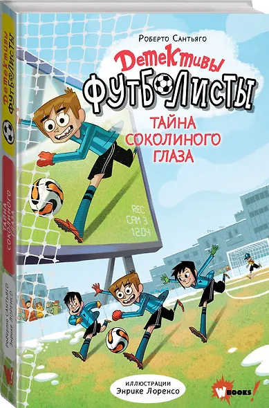 Детективы-футболисты. Тайна Соколиного глаза - фото 3