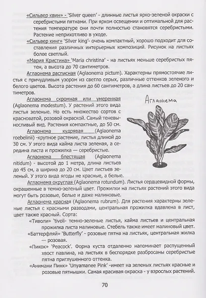 Секреты «домашних» растений: мифы и реальность - фото 6