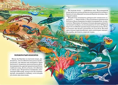 Жизнь в соленой воде: Школьный путеводитель - фото 2
