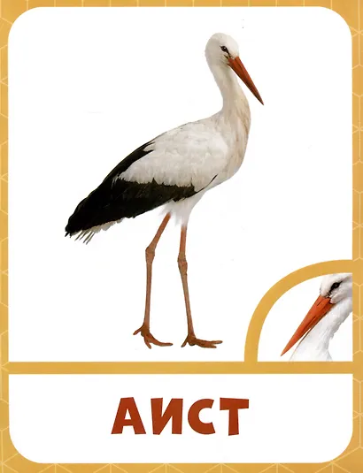 Птицы - фото 4