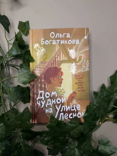 Дом чудной на улице Лесной - фото 5