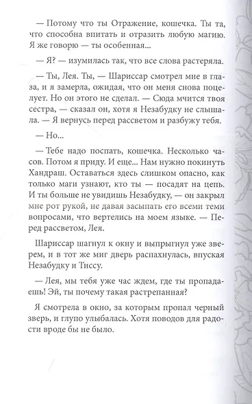 Отражение не меня. Искра - фото 4