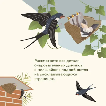 Что внутри? Как устроены дома животных - фото 6