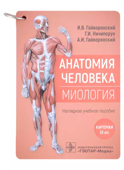 Анатомия человека. Миология. Карточки: наглядное учебное пособие (33 двусторонних карточки) - фото 1