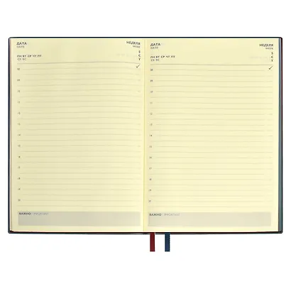 Ежедневник недат. А5+ 160л 175x245 "Шеврет" бордовый, иск.кожа, мягкий переплет, блинт.тиснение, офсет, ляссе. - фото 8