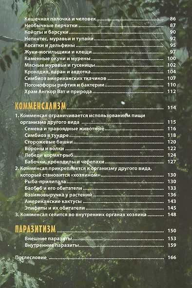 Кто с кем дружит в природе, или Причуды симбиоза - фото 3