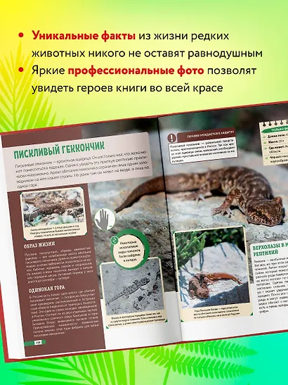 Красная книга России: животные, растения, птицы, насекомые. Энциклопедия редких видов - фото 6