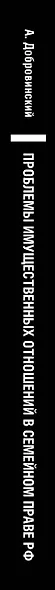 Проблемы имущественных отношений в семейном праве Российской Федерации. Теория, практика и реформа законодательства - фото 5