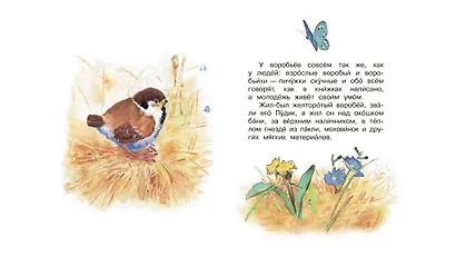 Воробьишко. Сказка - фото 3