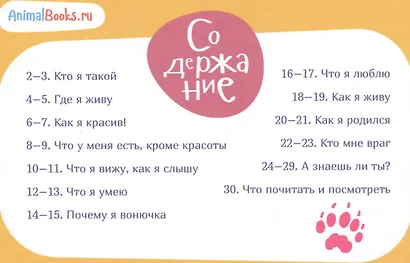 Я скунс - фото 2