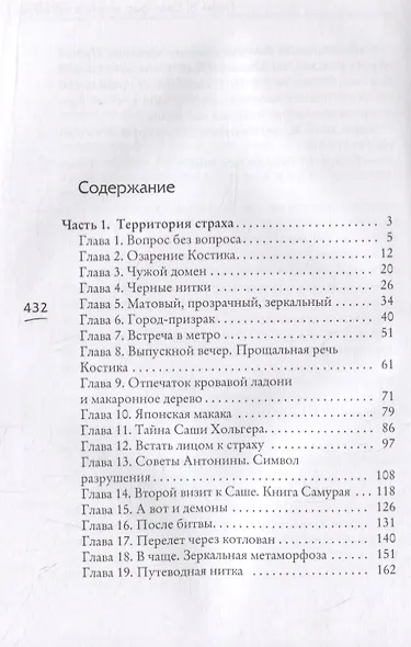 Мастер иллюзий. Книга 3 - фото 2