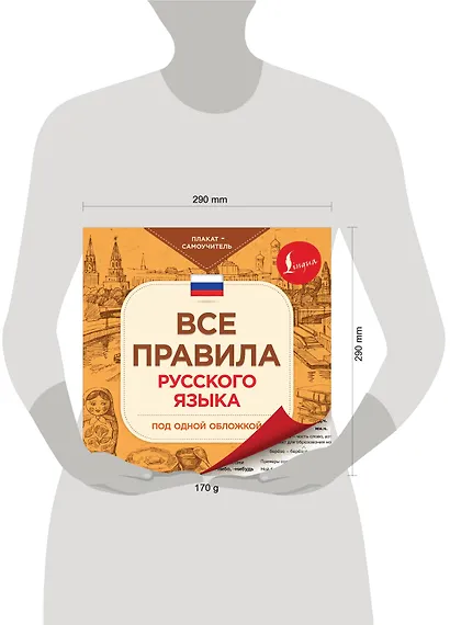 Все правила русского языка под одной обложкой. Плакат-самоучитель - фото 3