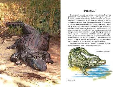 Рептилии. - фото 5