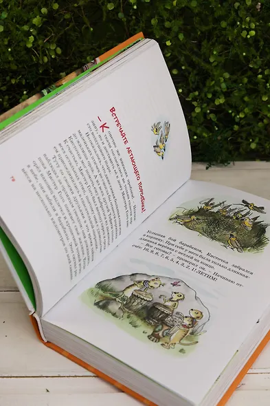 Все приключения Тафити - фото 12