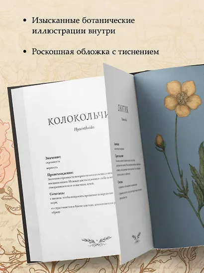 Флориография. Карманное руководство по викторианскому языку цветов - фото 6